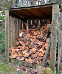 mark foster tree surgeon firewood supply